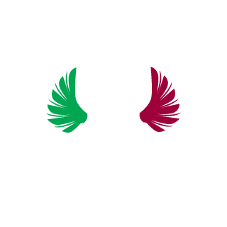 vSnxkee's emblem