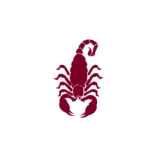 iaao18cjsce6's emblem