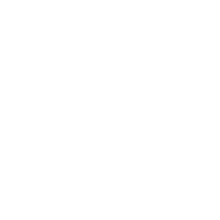 KAPITEN1119's emblem