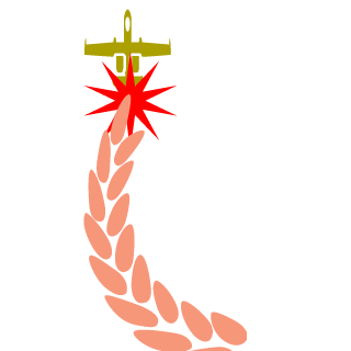 baoice99's emblem