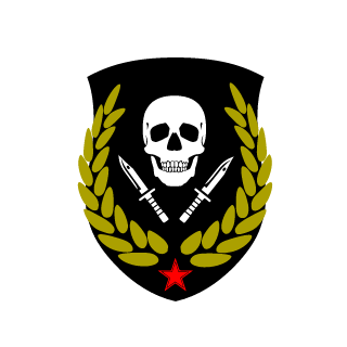 Ghost177's emblem