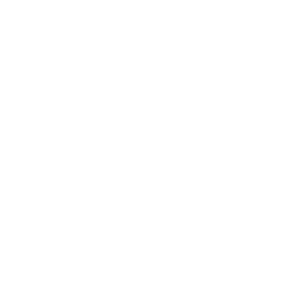 Skiaparelli's emblem