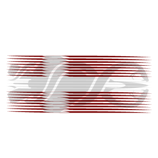 4SHOCKER's emblem