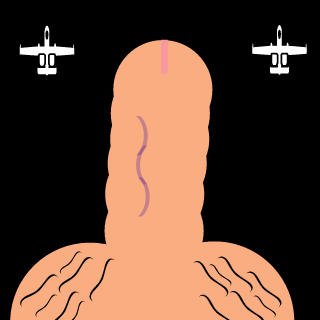 Trus4awa1's emblem