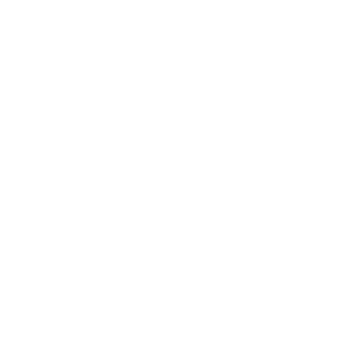 1DIEVAS's emblem