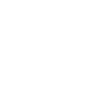 JFBRONX's emblem
