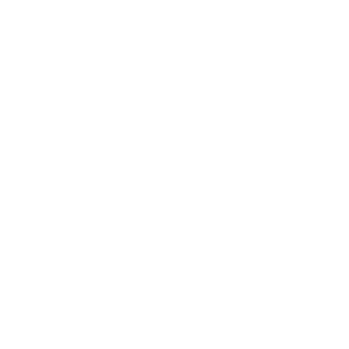 stfn0iddd's emblem