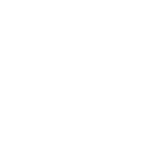 CT-1101's emblem