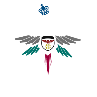 Saranin91's emblem