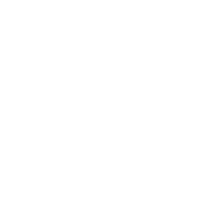 Statictoast's emblem