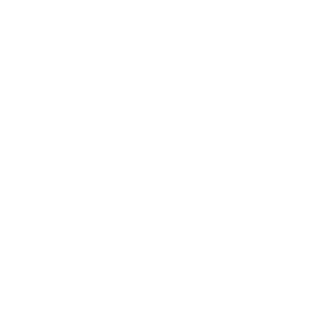SoyPower90's emblem