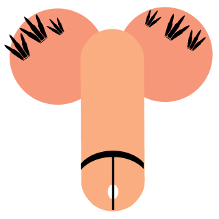 0ColonelChicken0's emblem