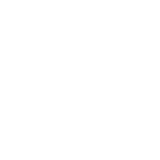 ScHnIzZeR13's emblem