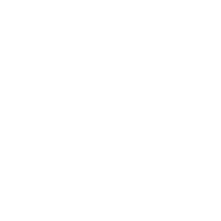 zlobnyi_dinuu's emblem