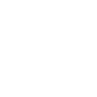 PlayingTheFlag's emblem