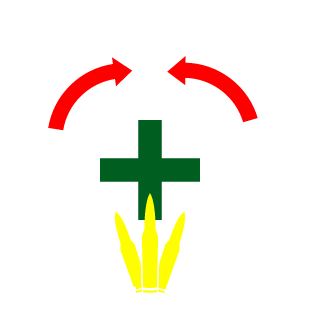 1973Kahuna's emblem
