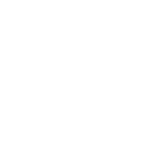SAKI-1981-MNE's emblem