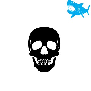 RamireZVO's emblem