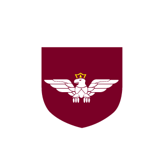 Buszujacywzobrzu's emblem