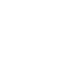 sonictytan's emblem