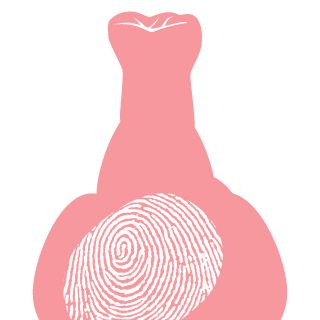 Elektron205pl's emblem