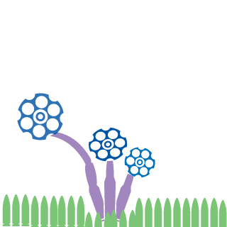 brfn582KWLnecr's emblem