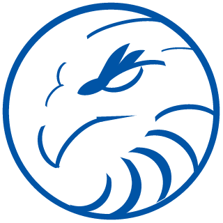 Corujitao100's emblem