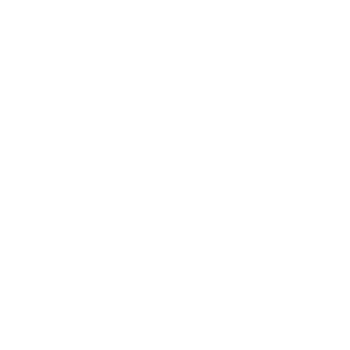 DudeManBroDog's emblem