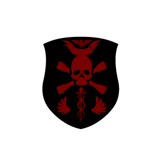 SK_Fall1n1's emblem