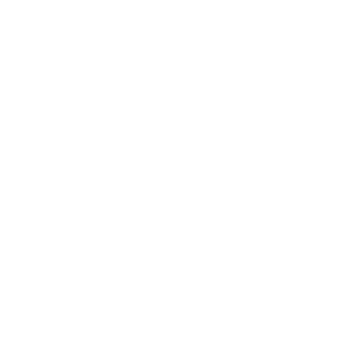 fosterforce's emblem