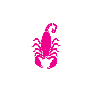 BAHEK_RUS's emblem
