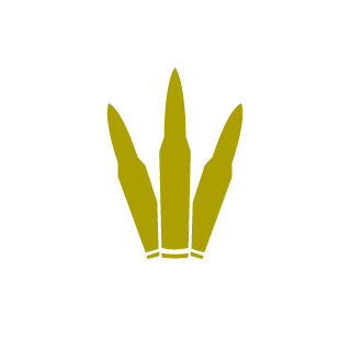 attack trooper5's emblem