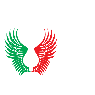 shayan323's emblem