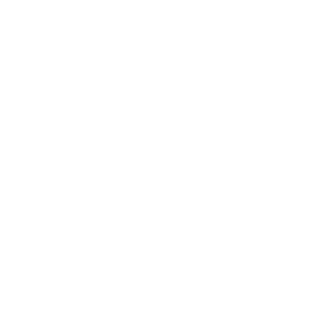 royal_flesch's emblem