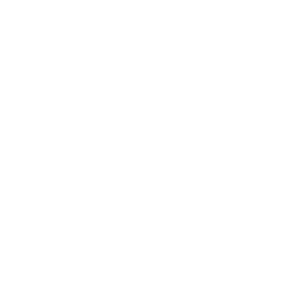 XP29L's emblem