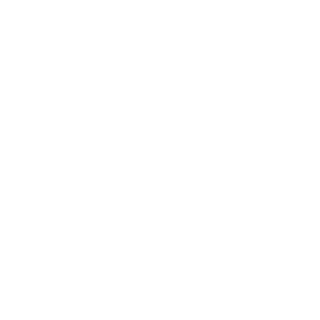 AmirrezaSLH's emblem