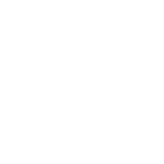 _R0ST_17_'s emblem