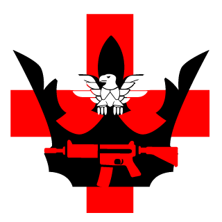 SgtBlackDragon's emblem