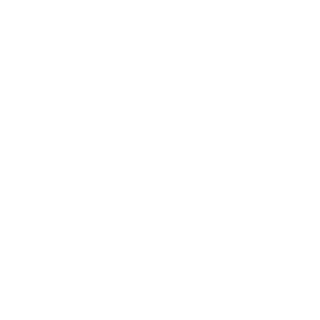 bielsnts's emblem