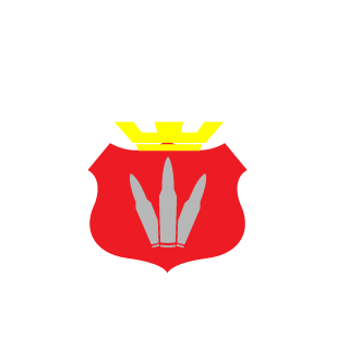 Sformers_PL's emblem