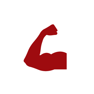 YGSY's emblem