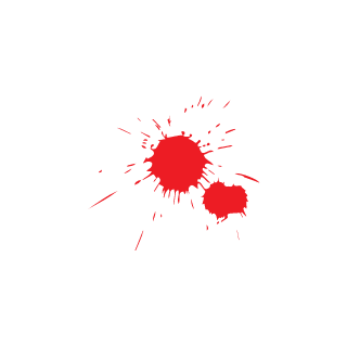 ENDY1996's emblem