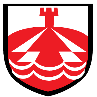 ---N3stor1's emblem