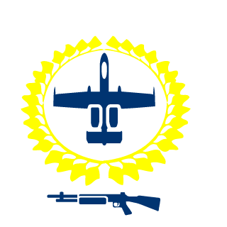 ShaddowMan00's emblem
