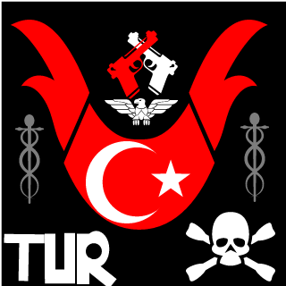 TR-Black_Eagle_Q's emblem