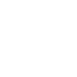 sandro1rj's emblem