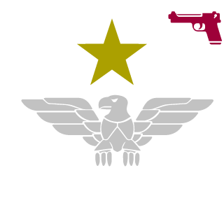 sheenknight's emblem
