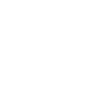 BONDIOLA96's emblem