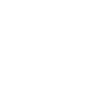 V2FreedomX10A's emblem