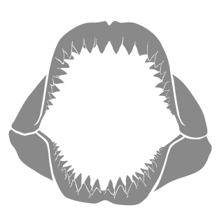 Moppo95's emblem